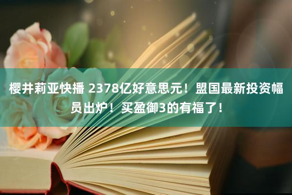 樱井莉亚快播 2378亿好意思元！盟国最新投资幅员出炉！买盈御3的有福了！