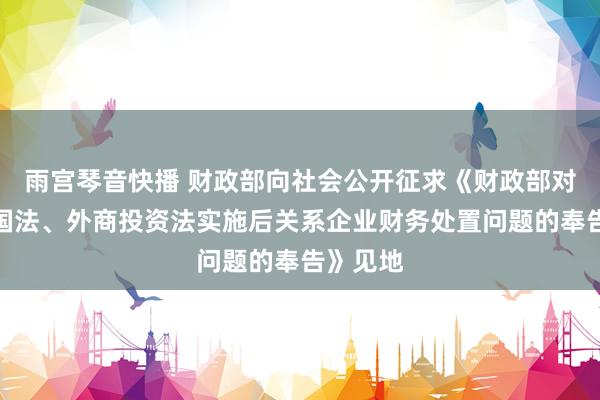 雨宫琴音快播 财政部向社会公开征求《财政部对于新公国法、外商投资法实施后关系企业财务处置问题的奉告》见地