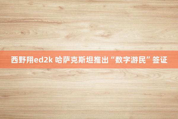 西野翔ed2k 哈萨克斯坦推出“数字游民”签证