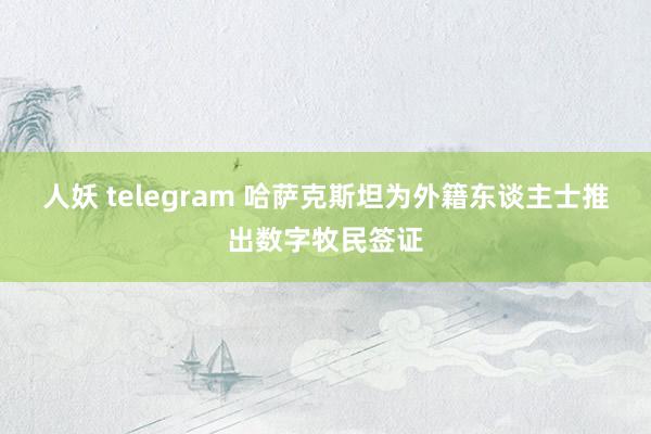 人妖 telegram 哈萨克斯坦为外籍东谈主士推出数字牧民签证