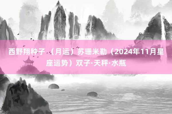 西野翔种子 （月运）苏珊米勒（2024年11月星座运势）双子·天秤·水瓶