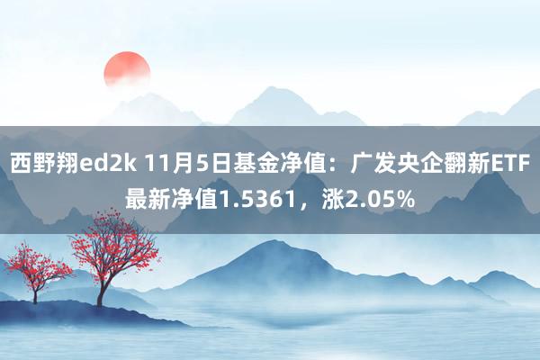 西野翔ed2k 11月5日基金净值：广发央企翻新ETF最新净值1.5361，涨2.05%