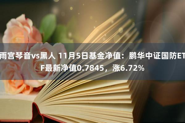 雨宫琴音vs黑人 11月5日基金净值：鹏华中证国防ETF最新净值0.7845，涨6.72%