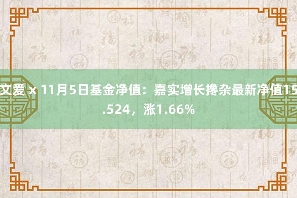 文爱 x 11月5日基金净值：嘉实增长搀杂最新净值15.524，涨1.66%