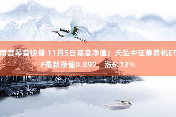 雨宫琴音快播 11月5日基金净值：天弘中证筹算机ETF最新净值0.897，涨6.13%