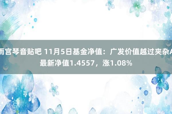 雨宫琴音贴吧 11月5日基金净值：广发价值越过夹杂A最新净值1.4557，涨1.08%