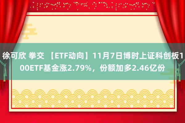 徐可欣 拳交 【ETF动向】11月7日博时上证科创板100ETF基金涨2.79%，份额加多2.46亿份