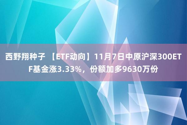 西野翔种子 【ETF动向】11月7日中原沪深300ETF基金涨3.33%，份额加多9630万份