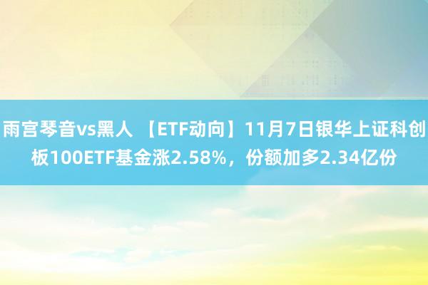 雨宫琴音vs黑人 【ETF动向】11月7日银华上证科创板100ETF基金涨2.58%，份额加多2.34亿份