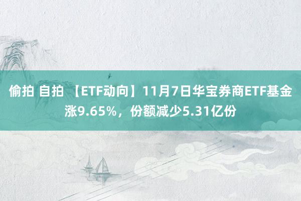 偷拍 自拍 【ETF动向】11月7日华宝券商ETF基金涨9.65%，份额减少5.31亿份