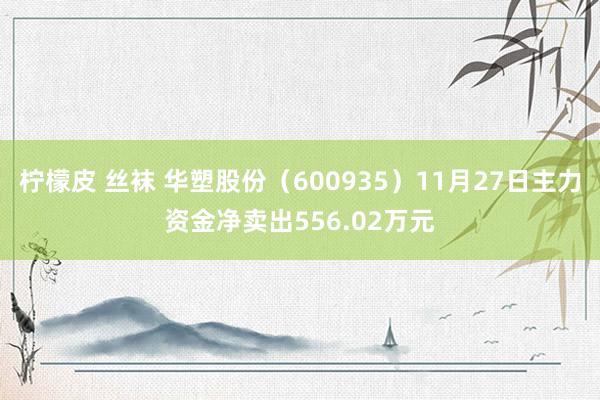 柠檬皮 丝袜 华塑股份（600935）11月27日主力资金净卖出556.02万元