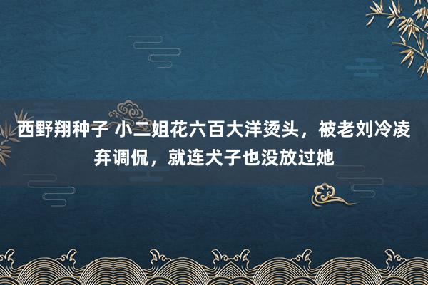 西野翔种子 小二姐花六百大洋烫头，被老刘冷凌弃调侃，就连犬子也没放过她