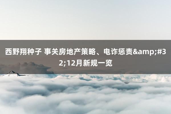 西野翔种子 事关房地产策略、电诈惩责&#32;12月新规一览