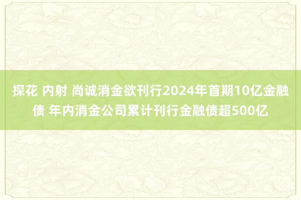 探花 内射 尚诚消金欲刊行2024年首期10亿金融债 年内消金公司累计刊行金融债超500亿