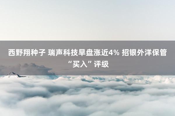 西野翔种子 瑞声科技早盘涨近4% 招银外洋保管“买入”评级