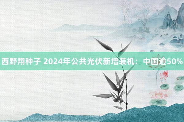 西野翔种子 2024年公共光伏新增装机：中国逾50%