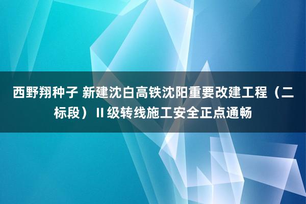 西野翔种子 新建沈白高铁沈阳重要改建工程（二标段）Ⅱ级转线施工安全正点通畅