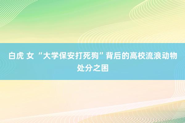 白虎 女 “大学保安打死狗”背后的高校流浪动物处分之困