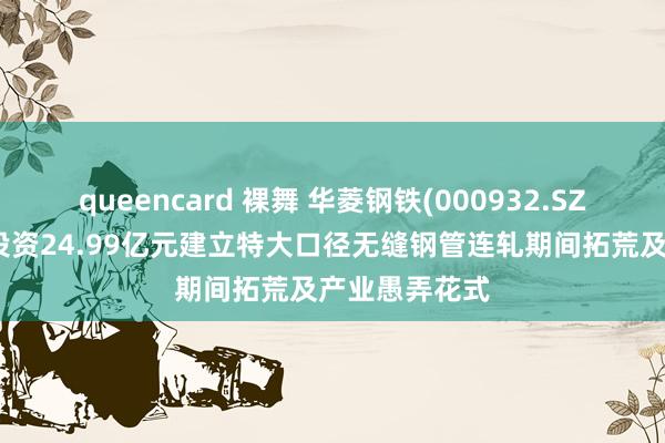 queencard 裸舞 华菱钢铁(000932.SZ)：子公司拟投资24.99亿元建立特大口径无缝钢管连轧期间拓荒及产业愚弄花式