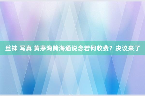 丝袜 写真 黄茅海跨海通说念若何收费？决议来了