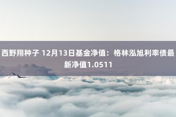 西野翔种子 12月13日基金净值：格林泓旭利率债最新净值1.0511