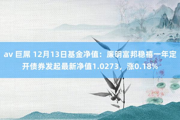 av 巨屌 12月13日基金净值：廉明富邦稳禧一年定开债券发起最新净值1.0273，涨0.18%