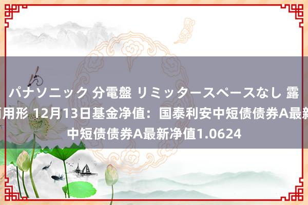 パナソニック 分電盤 リミッタースペースなし 露出・半埋込両用形 12月13日基金净值：国泰利安中短债债券A最新净值1.0624