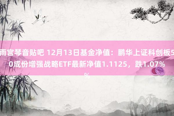 雨宫琴音贴吧 12月13日基金净值：鹏华上证科创板50成份增强战略ETF最新净值1.1125，跌1.07%