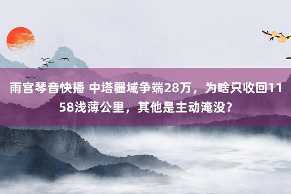 雨宫琴音快播 中塔疆域争端28万，为啥只收回1158浅薄公里，其他是主动淹没？