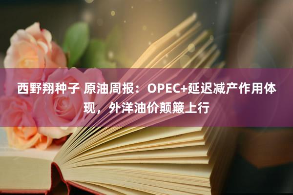 西野翔种子 原油周报：OPEC+延迟减产作用体现，外洋油价颠簸上行