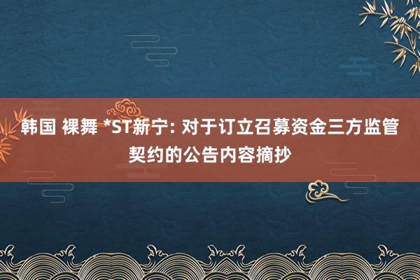 韩国 裸舞 *ST新宁: 对于订立召募资金三方监管契约的公告内容摘抄