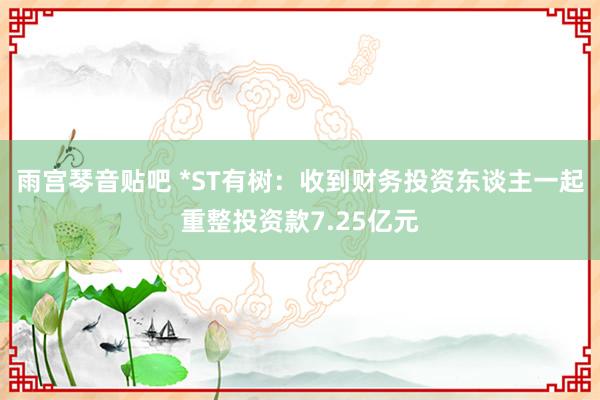 雨宫琴音贴吧 *ST有树：收到财务投资东谈主一起重整投资款7.25亿元