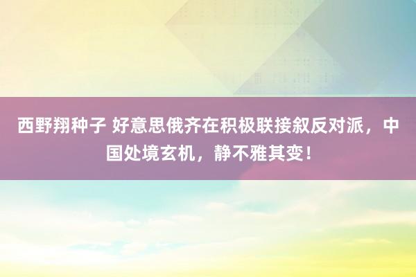 西野翔种子 好意思俄齐在积极联接叙反对派，中国处境玄机，静不雅其变！