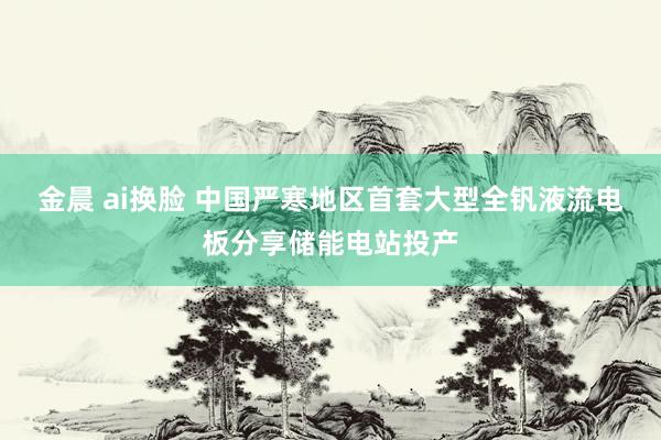 金晨 ai换脸 中国严寒地区首套大型全钒液流电板分享储能电站投产