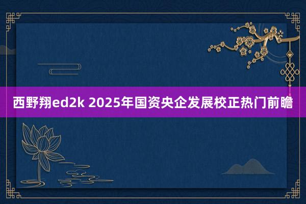 西野翔ed2k 2025年国资央企发展校正热门前瞻