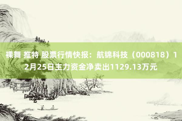 裸舞 推特 股票行情快报：航锦科技（000818）12月25日主力资金净卖出1129.13万元