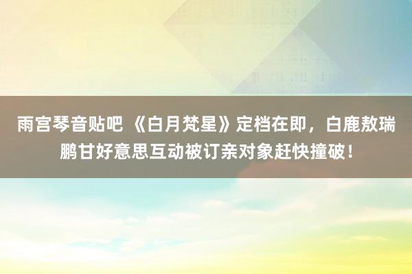 雨宫琴音贴吧 《白月梵星》定档在即，白鹿敖瑞鹏甘好意思互动被订亲对象赶快撞破！