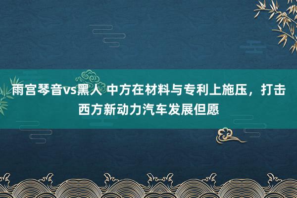 雨宫琴音vs黑人 中方在材料与专利上施压，打击西方新动力汽车发展但愿