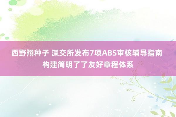 西野翔种子 深交所发布7项ABS审核辅导指南 构建简明了了友好章程体系