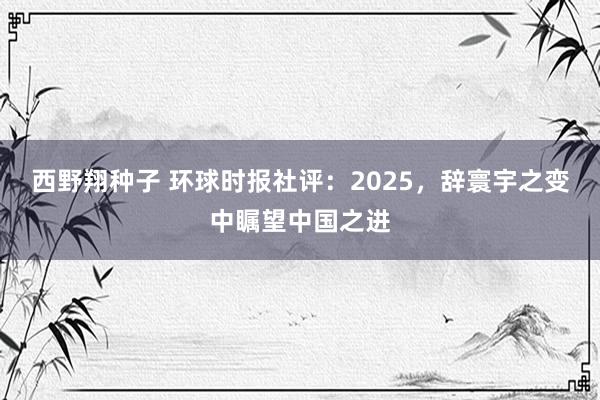 西野翔种子 环球时报社评：2025，辞寰宇之变中瞩望中国之进