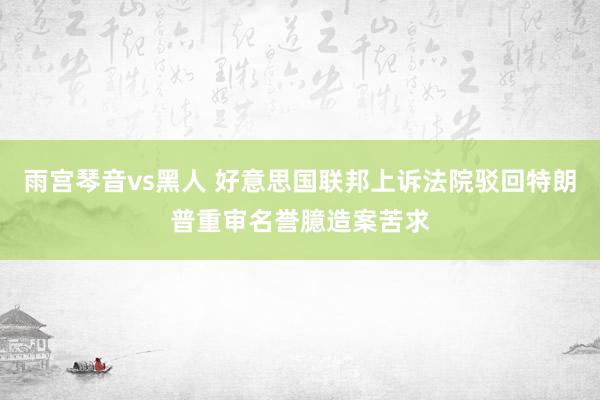 雨宫琴音vs黑人 好意思国联邦上诉法院驳回特朗普重审名誉臆造案苦求