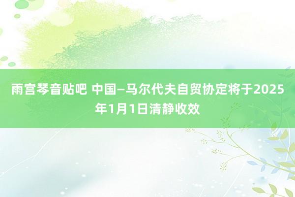 雨宫琴音贴吧 中国—马尔代夫自贸协定将于2025年1月1日清静收效