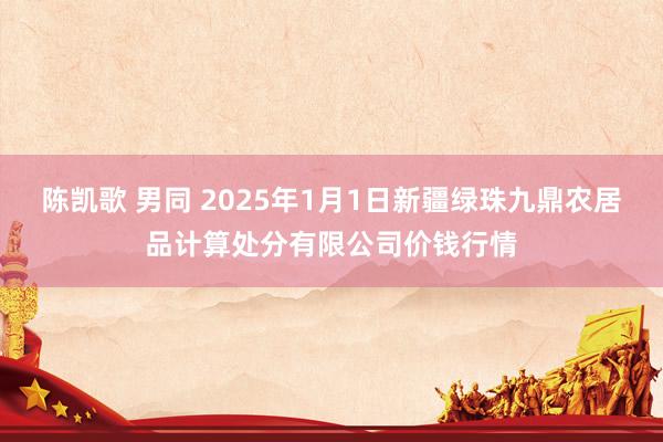 陈凯歌 男同 2025年1月1日新疆绿珠九鼎农居品计算处分有限公司价钱行情