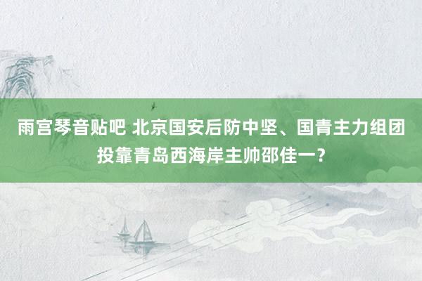 雨宫琴音贴吧 北京国安后防中坚、国青主力组团投靠青岛西海岸主帅邵佳一？