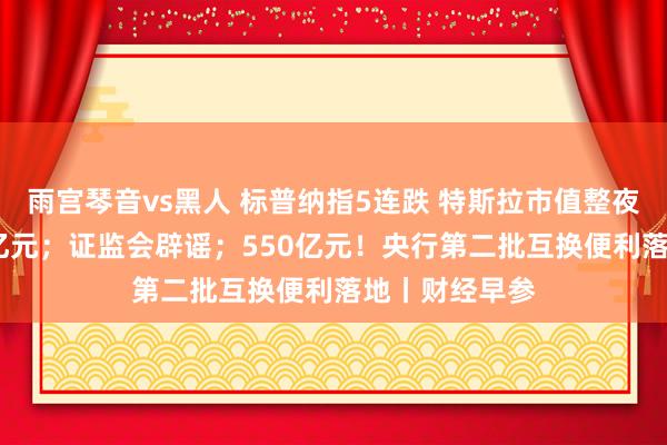 雨宫琴音vs黑人 标普纳指5连跌 特斯拉市值整夜挥发超5700亿元；证监会辟谣；550亿元！央行第二批互换便利落地丨财经早参