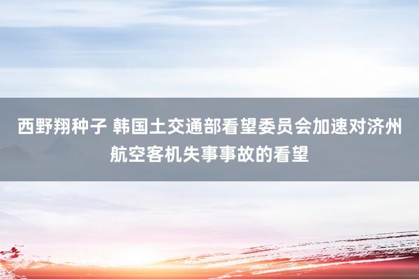 西野翔种子 韩国土交通部看望委员会加速对济州航空客机失事事故的看望