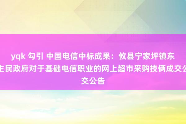 yqk 勾引 中国电信中标成果：攸县宁家坪镇东谈主民政府对于基础电信职业的网上超市采购技俩成交公告