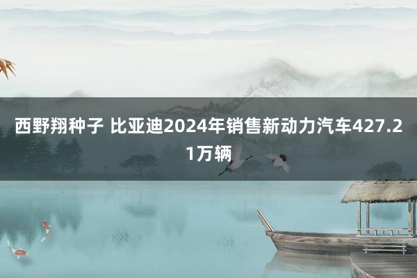 西野翔种子 比亚迪2024年销售新动力汽车427.21万辆