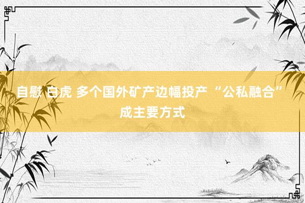 自慰 白虎 多个国外矿产边幅投产 “公私融合” 成主要方式