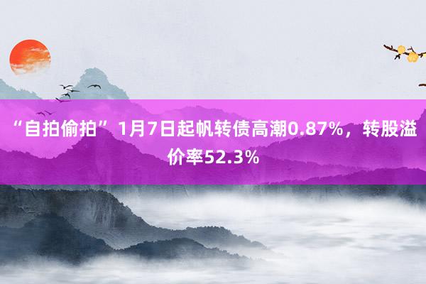 “自拍偷拍” 1月7日起帆转债高潮0.87%，转股溢价率52.3%